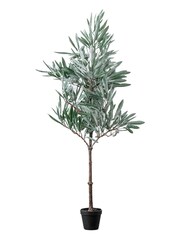 Gallery Home Green Eucalyptus Tree Dusky H1220mm - Image 3 of 4