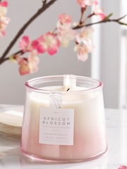 Pink Apricot Blossom Large Candle - Image 1 of 1