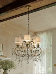 Shabby Chic by Rachel Ashwell® Brass Phoebe 5 Light Chandelier - Image 1 of 5