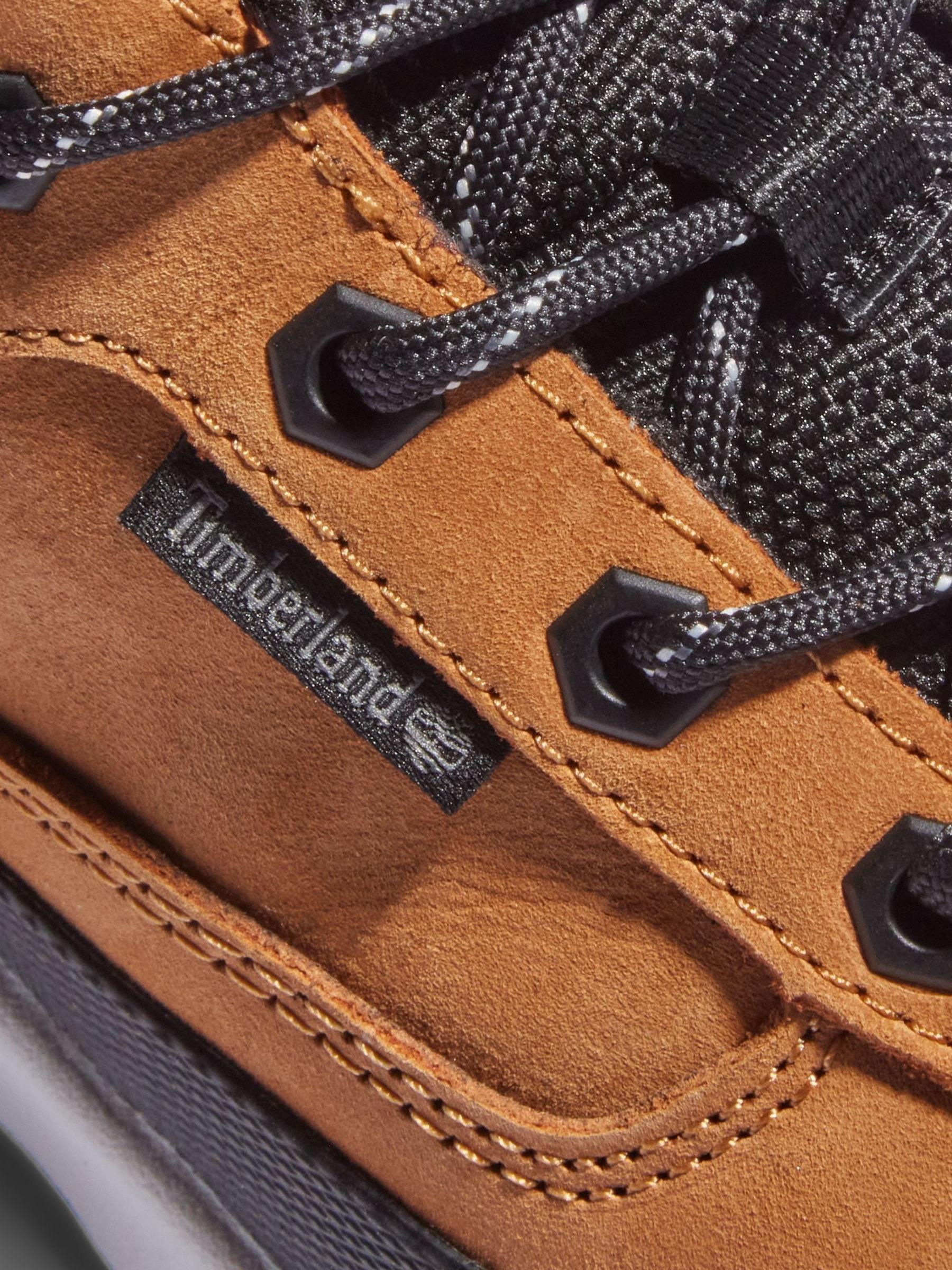 Buy Timberland Field Trekker Low Boots from Next United Arab Emirates