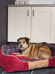 Scruffs® Red Washable Highland Tartan Large Breed Dog Bed - Image 1 of 4