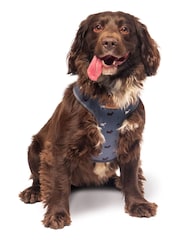 FatFace Grey XSmall Harness - Image 1 of 3
