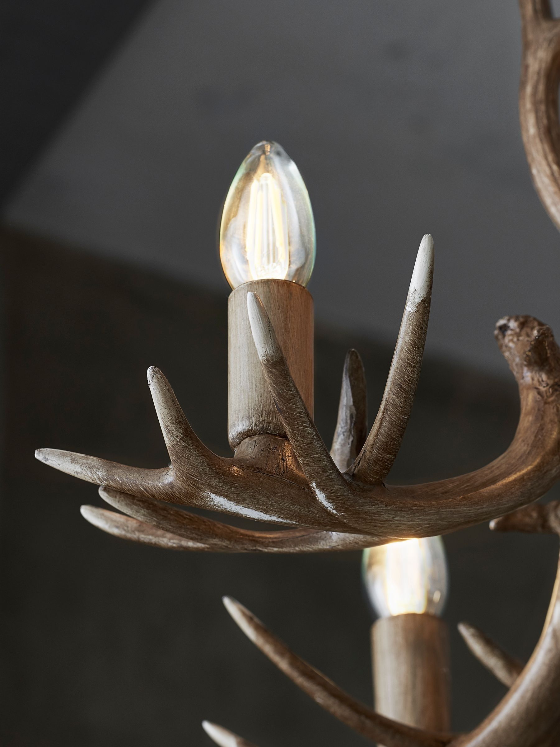 Stag horn light fitting sale