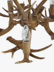 Natural Antler 5 Light Fitting - Image 8 of 8