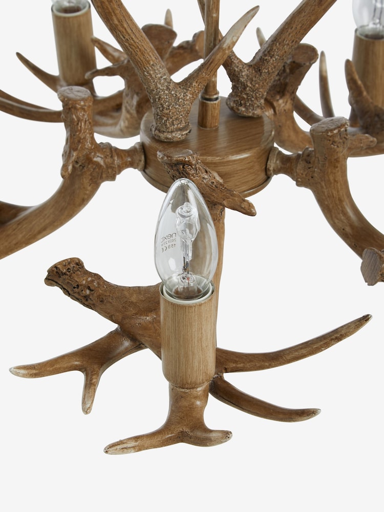 Natural Antler 5 Light Fitting - Image 8 of 8