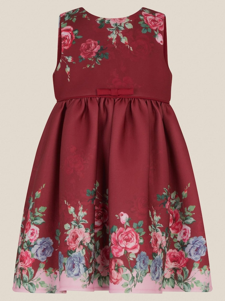 Buy Monsoon Red Baby Rose Print Party Dress from Next United Arab Emirates