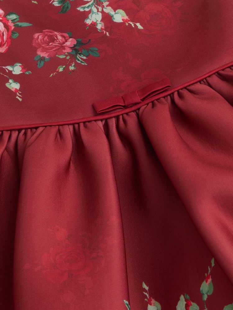 Buy Monsoon Red Baby Rose Print Party Dress from Next United Arab Emirates
