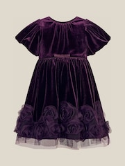 Күлгін - Monsoon Baby Adelyn Rose Appliqué Velvet Party Dress - 3суретінің 1 суреті