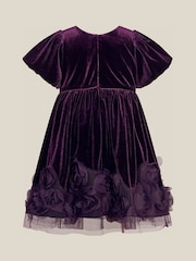 Күлгін - Monsoon Baby Adelyn Rose Appliqué Velvet Party Dress - 3суретінің 2 суреті