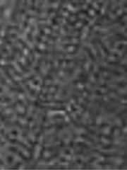 Levi's® Blacks Bloom Black 311™ Shaping Skinny Jeans - Image 7 of 8