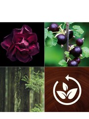 Woodwick Natural ReNew Large Currant Rose Scented Candle - Image 4 of 5