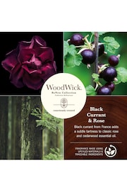 Woodwick Natural ReNew Large Currant Rose Scented Candle - Image 5 of 5