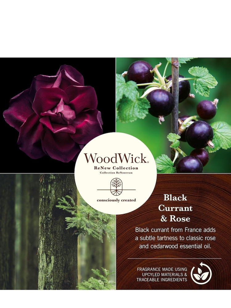 Woodwick Natural ReNew Large Currant Rose Scented Candle - Image 5 of 5