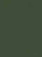 MADE.COM Grass Green Matt Velvet Swatch - Image 1 of 2