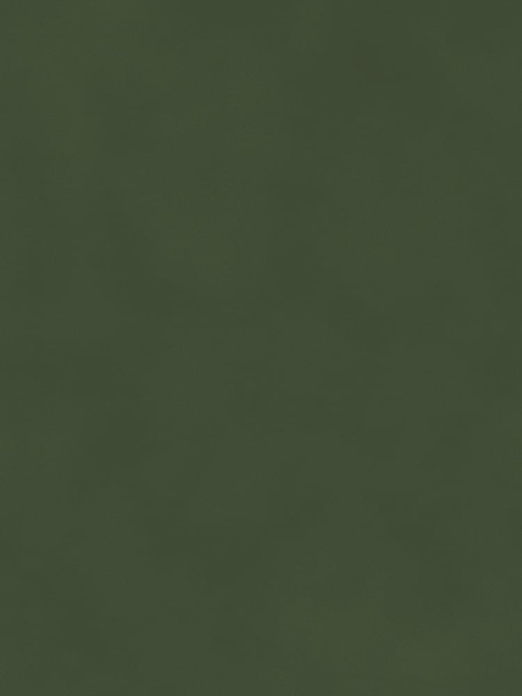 MADE.COM Grass Green Matt Velvet Swatch - Image 1 of 2