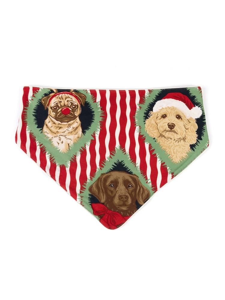 Pañuelo para el cuello con estampado de rayas de Chelsea Peers Pets Navidad Chip & Friends - Imagen 1 de 3 Pañuelo para el cuello con estampado de rayas de Chelsea Peers Pets Navidad Chip & Friends - Imagen 1 de 3