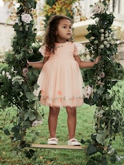Pink Embroidered Mesh Party Dress (3mths-10yrs) - Image 2 of 8