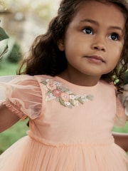 Pink Embroidered Mesh Party Dress (3mths-10yrs) - Image 5 of 8