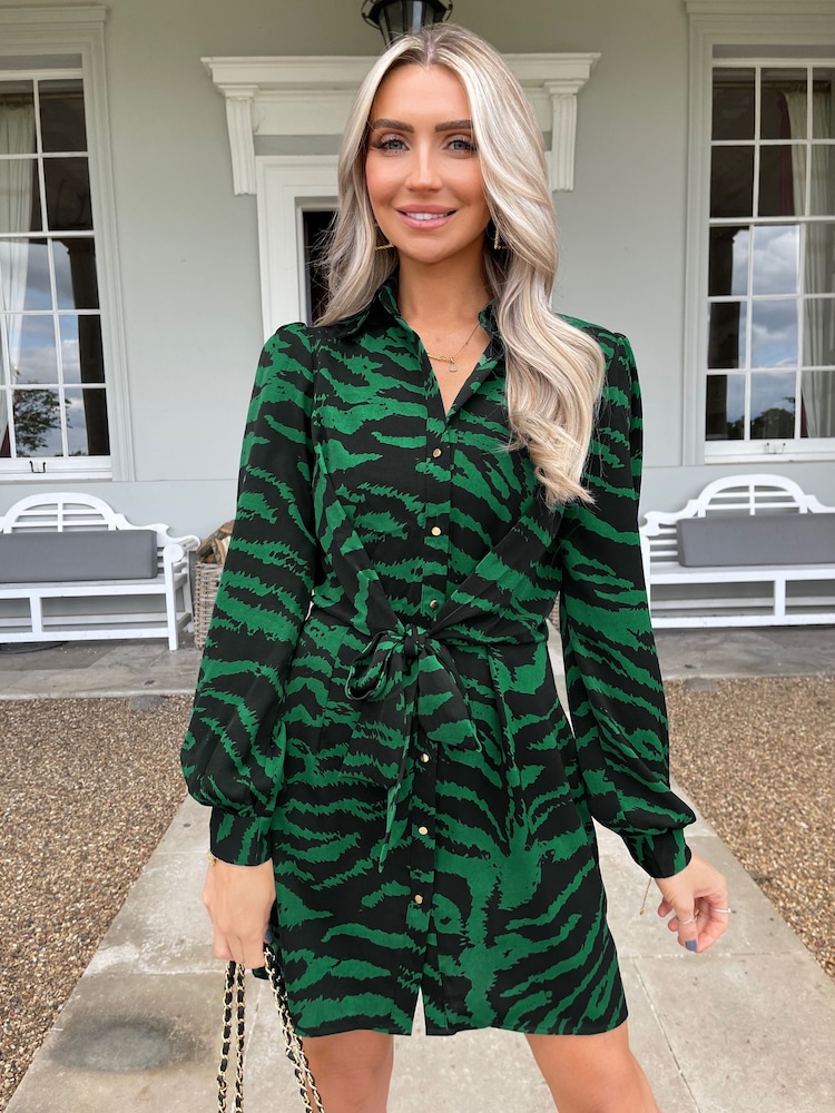 AX Paris Green Animal Print Button Front Shirt Dress - Image 4 of 4