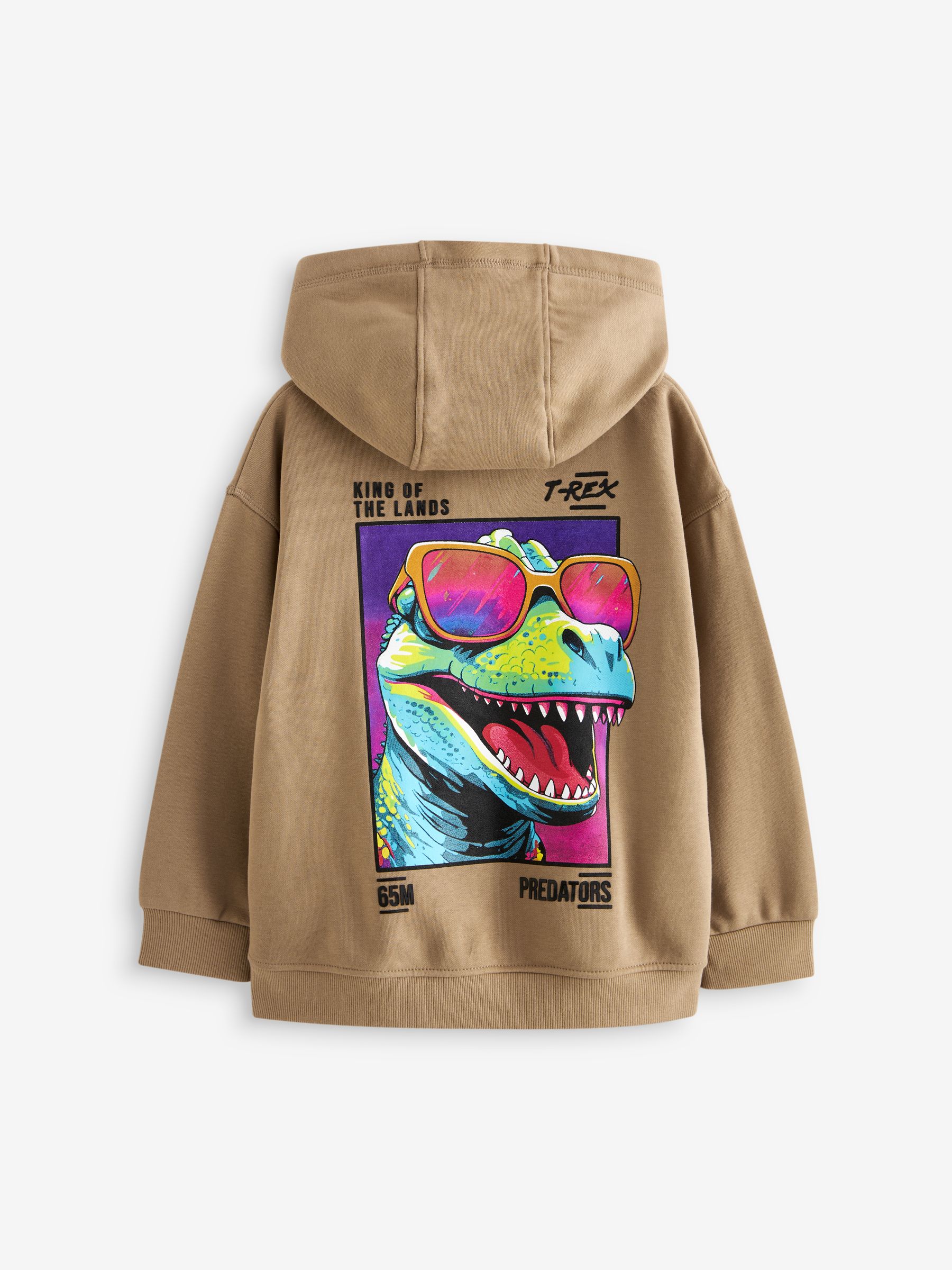 Next dinosaur hoodie shop