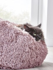 Pink Round Faux Fur Pet Bed - Image 2 of 4