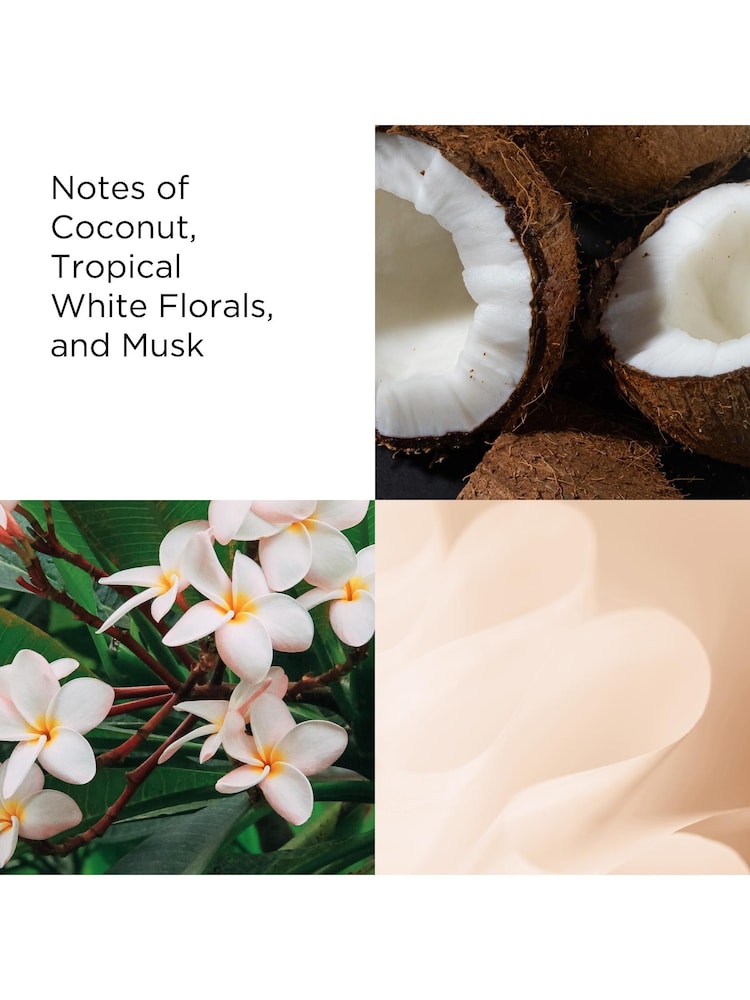 Elizabeth Arden Tea Coconut Breeze Honey Drops Body Cream 500ml - Image 4 of 4 Elizabeth Arden Tea Coconut Breeze Honey Drops Body Cream 500ml - Image 4 of 4