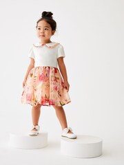 Baker by Ted Baker Apricot Burnout Mockable Dress - Image 1 of 9