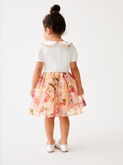 Baker by Ted Baker Apricot Burnout Mockable Dress - Image 2 of 9