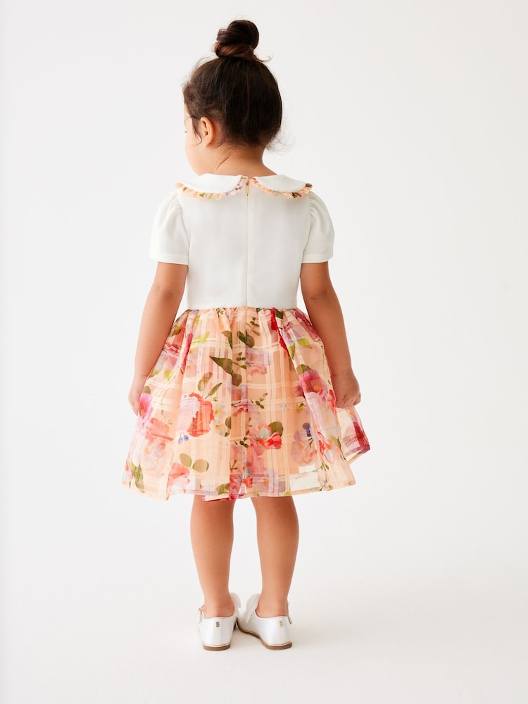 Baker by Ted Baker Apricot Burnout Mockable Dress - Image 2 of 9