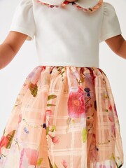 Baker by Ted Baker Apricot Burnout Mockable Dress - Image 3 of 9