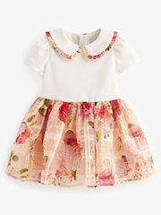 Baker by Ted Baker Apricot Burnout Mockable Dress - Image 6 of 9