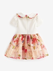Baker by Ted Baker Apricot Burnout Mockable Dress - Image 7 of 9