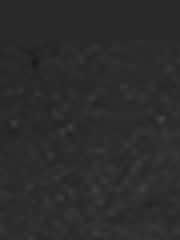 Timberland Eurosprint Black Boots - Image 9 of 9