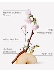 Bath & Body Works Japanese Cherry Blossom Gift Set (Worth £52) - Image 2 of 2