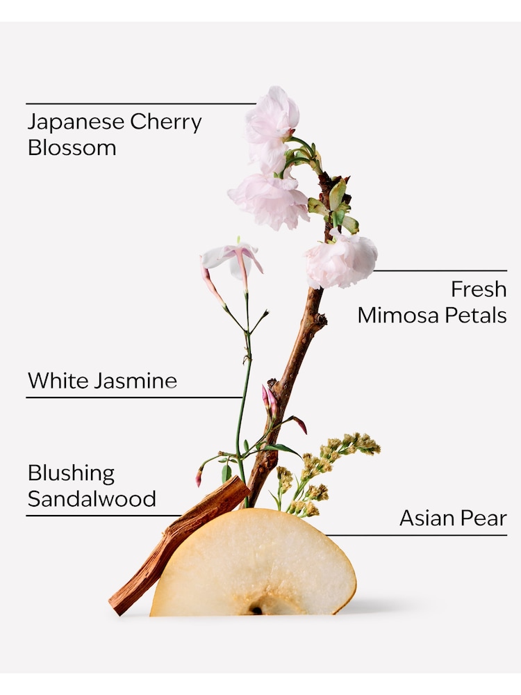 Bath & Body Works Japanese Cherry Blossom Gift Set (Worth £52) - Image 2 of 2