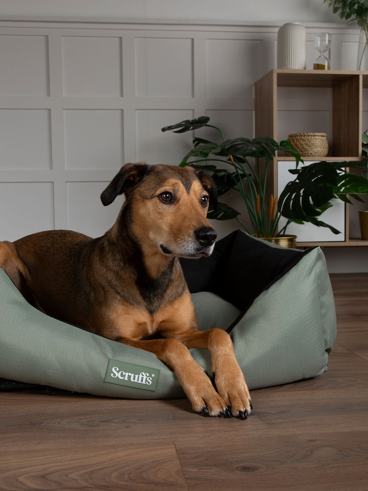 Scruffs Khaki Green Expedition Travel Dog Box Bed - Image 1 of 5