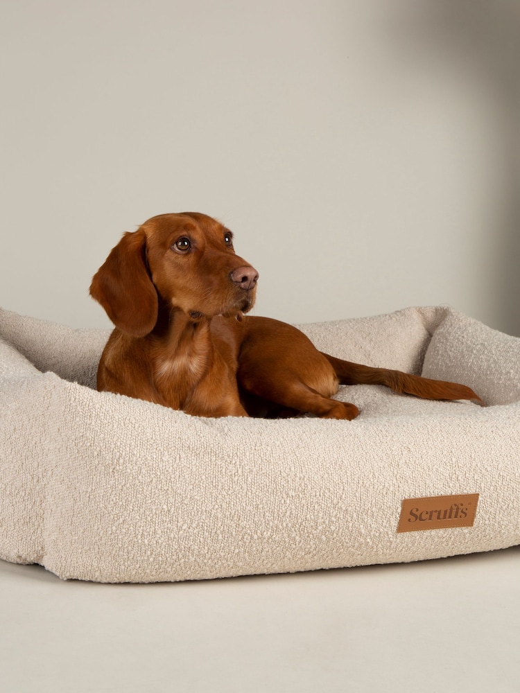 Scruffs Ivory Boucle Dog Box Bed - Image 1 of 6