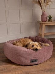 Scruffs Pink Puppy Starter Kit - Image 2 of 7