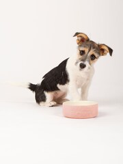Scruffs Pink Puppy Starter Kit - Image 5 of 7
