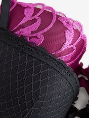 Plum Purple/Black Pad Balcony Embroidered Bras 2 Pack A-E - Image 13 of 14