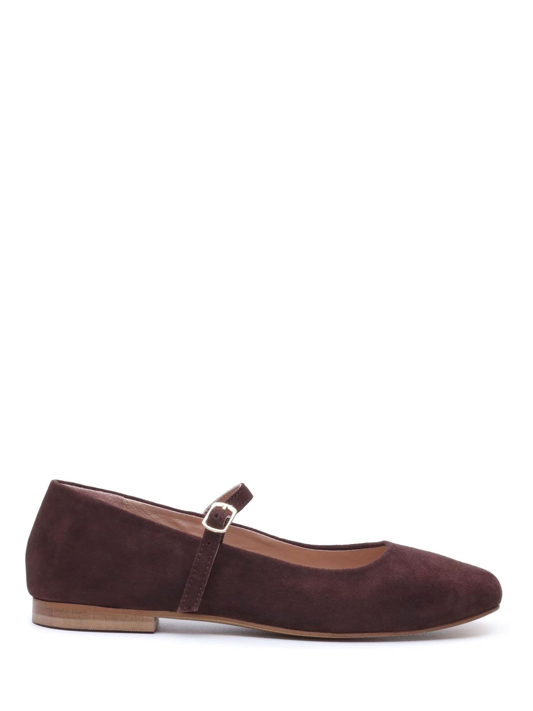 Hush Puppies Women's Brown Pasha Suede Ballerina