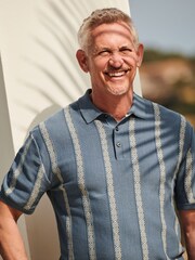 Blue Regular Fit 100% Cotton Knitted Pattern Stripe Polo Shirt - Image 5 of 8