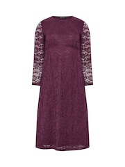 M&Co Petite Lace Long Sleeve Midi Dress - Image 5 of 6