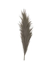 Gallery Home Grey Feathered Stem 3PK L980mm - Image 3 of 3