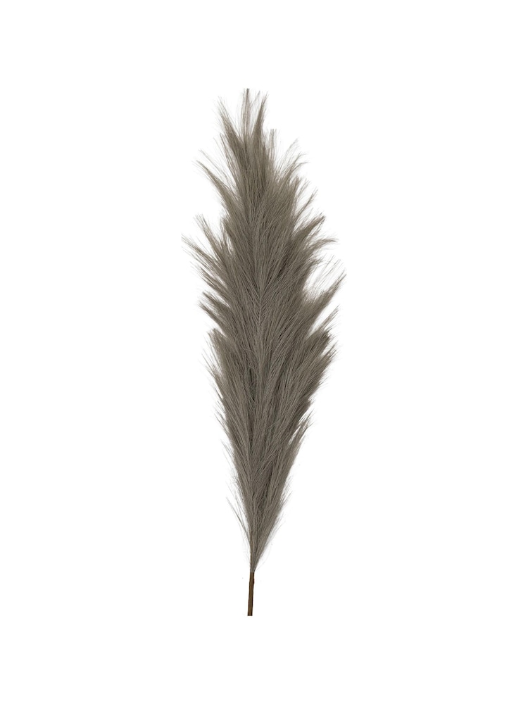 Gallery Home Grey Feathered Stem 3PK L980mm - Image 3 of 3