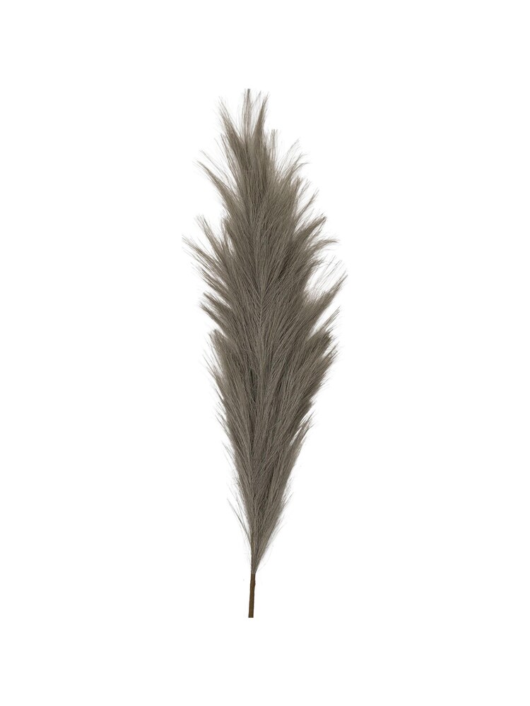 Gallery Home Grey Feathered Stem 3PK L980mm - Image 3 of 3 Gallery Home Grey Feathered Stem 3PK L980mm - Image 3 of 3
