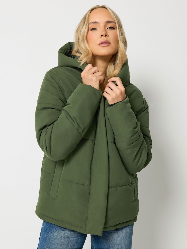 Grün - Long Tall Sally Short Padded Jacket - Bild 2 von 7