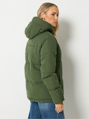 Grün - Long Tall Sally Short Padded Jacket - Bild 4 von 7