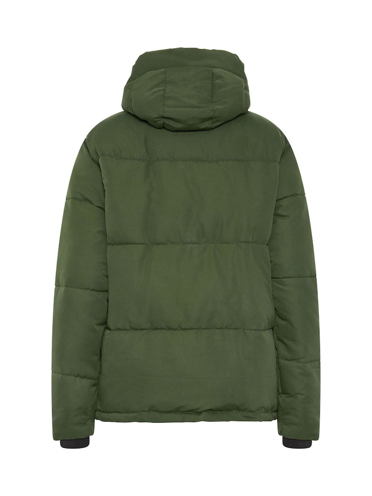 Grün - Long Tall Sally Short Padded Jacket - Bild 7 von 7