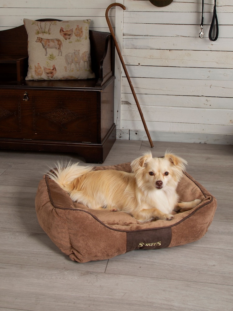 Scruffs Chocolate Chester Dog Box Bed - Image 1 of 6 Scruffs Chocolate Chester Dog Box Bed - Image 1 of 6